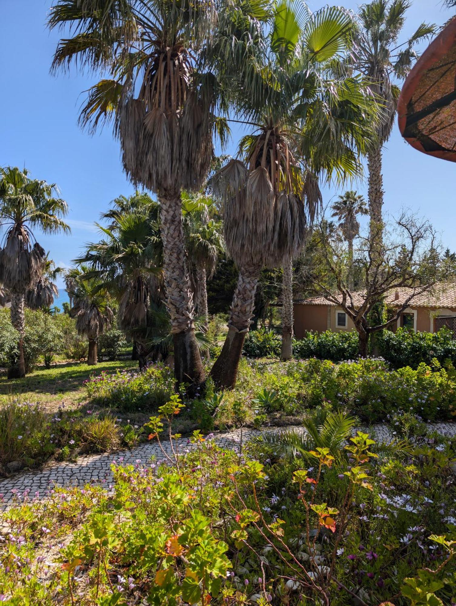 Quinta Do Mar - Country & Sea Village Praia Da Luz Exterior photo